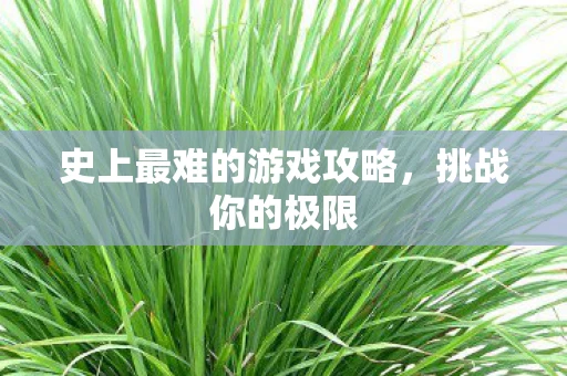 史上最难的游戏攻略，挑战你的极限