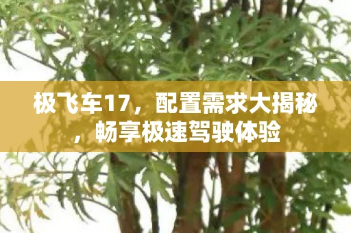 极飞车17，配置需求大揭秘，畅享极速驾驶体验