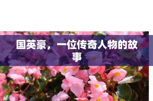国英豪，一位传奇人物的故事
