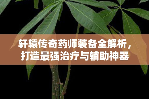 轩辕传奇药师装备全解析，打造最强治疗与辅助神器
