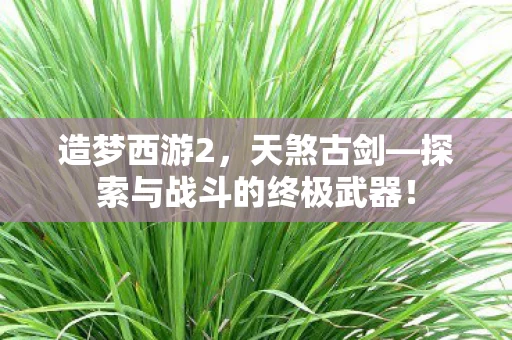 探索与战斗的终极武器图片
