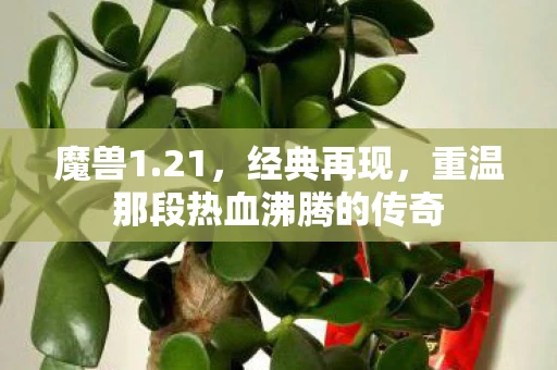 魔兽1.21，经典再现，重温那段热血沸腾的传奇