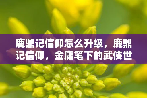 鹿鼎记信仰怎么升级，鹿鼎记信仰，金庸笔下的武侠世界与信仰探索