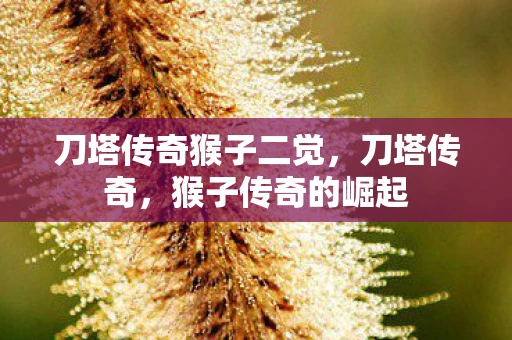 刀塔传奇猴子二觉，刀塔传奇，猴子传奇的崛起