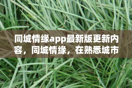 同城情缘app最新版更新内容，同城情缘，在熟悉城市中寻找那份特别的缘分