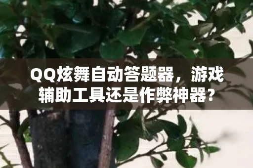 QQ炫舞自动答题器，游戏辅助工具还是作弊神器？