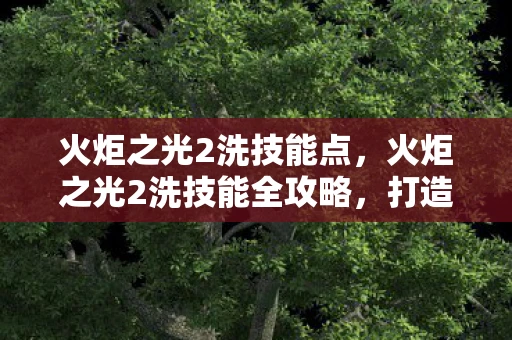 火炬之光2洗技能点，火炬之光2洗技能全攻略，打造个性化角色，畅游奇幻世界