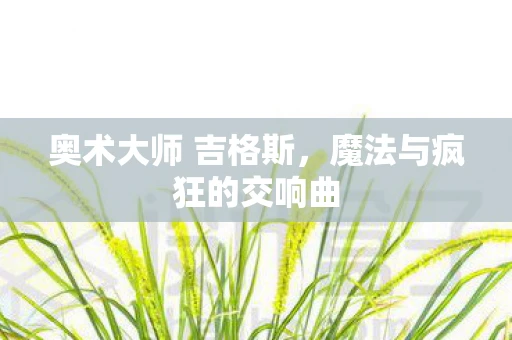 奥术大师 吉格斯，魔法与疯狂的交响曲