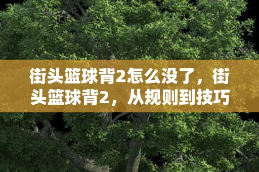 街头篮球背2怎么没了，街头篮球背2，从规则到技巧的全面解析