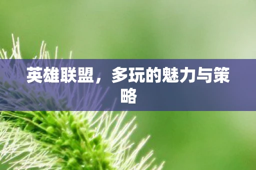 英雄联盟，多玩的魅力与策略