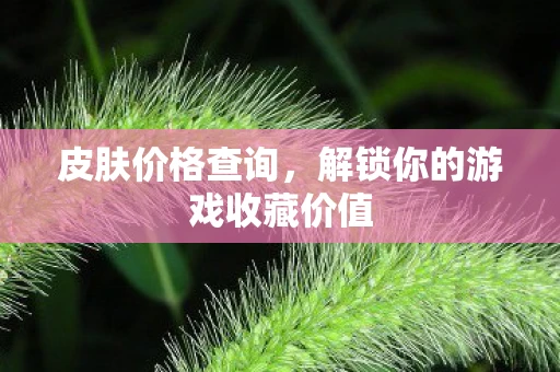 皮肤价格查询，解锁你的游戏收藏价值