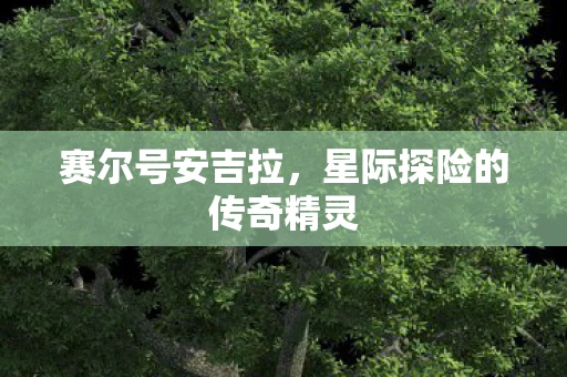 赛尔号安吉拉，星际探险的传奇精灵