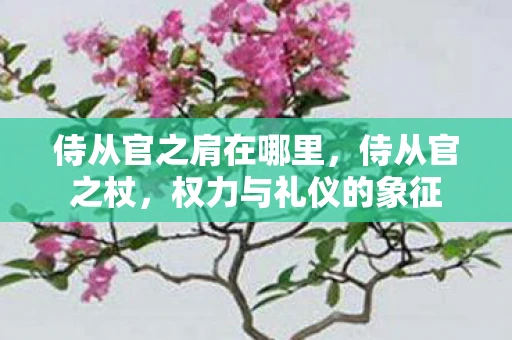 侍从官之肩在哪里，侍从官之杖，权力与礼仪的象征