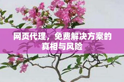 网页代理，免费解决方案的真相与风险