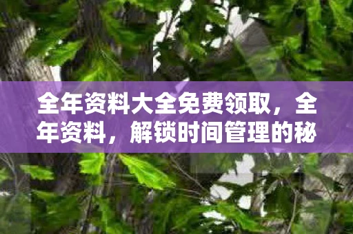 全年资料大全免费领取，全年资料，解锁时间管理的秘密