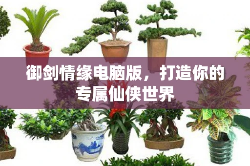 御剑情缘电脑版，打造你的专属仙侠世界