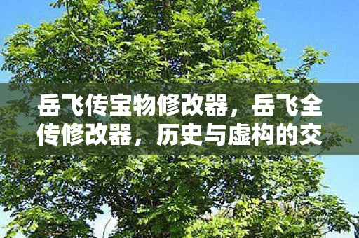 岳飞传宝物修改器，岳飞全传修改器，历史与虚构的交织
