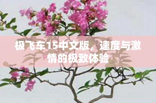 极飞车15中文版，速度与激情的极致体验