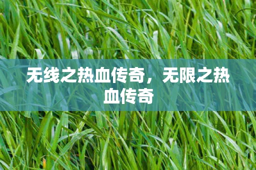 无线之热血传奇，无限之热血传奇