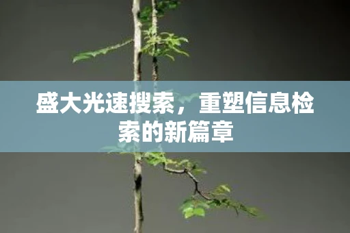 盛大光速搜索，重塑信息检索的新篇章