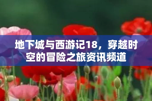 穿越时空的冒险之旅资讯频道图片
