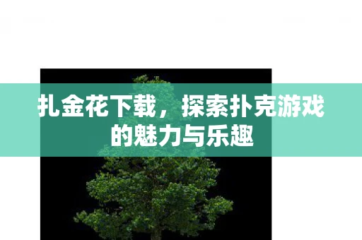 扎金花下载，探索扑克游戏的魅力与乐趣