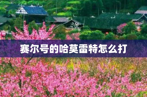 赛尔号的哈莫雷特怎么打