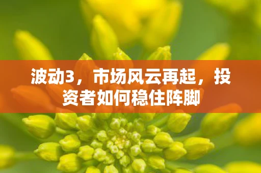 波动3，市场风云再起，投资者如何稳住阵脚