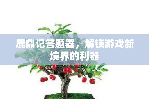 鹿鼎记答题器，解锁游戏新境界的利器