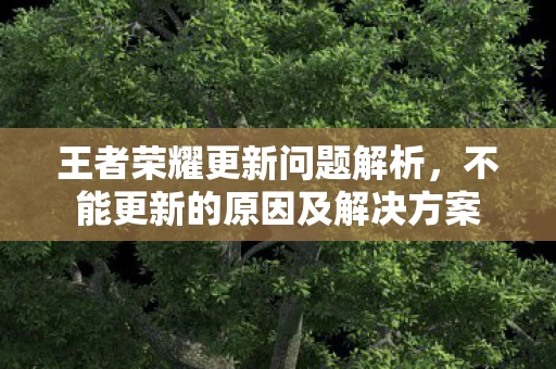 不能更新的原因及解决方案图片