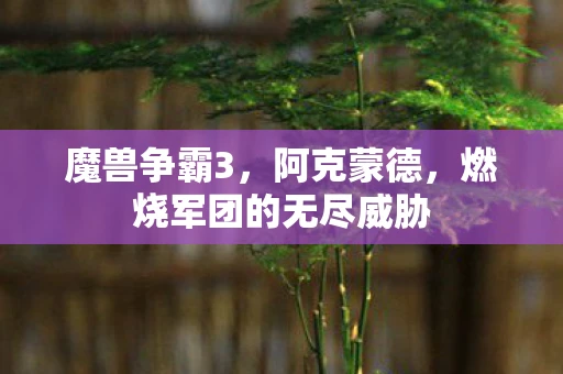 魔兽争霸3，阿克蒙德，燃烧军团的无尽威胁