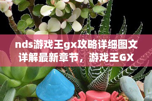 nds游戏王gx攻略详细图文详解最新章节，游戏王GX，解锁你的卡牌大师之旅