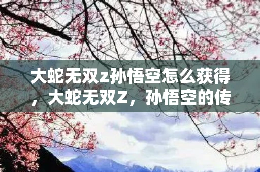 大蛇无双z孙悟空怎么获得，大蛇无双Z，孙悟空的传奇之旅