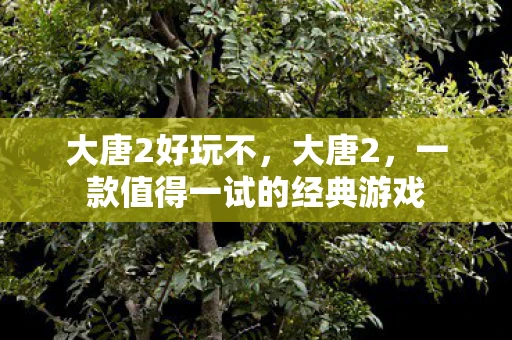 大唐2好玩不，大唐2，一款值得一试的经典游戏