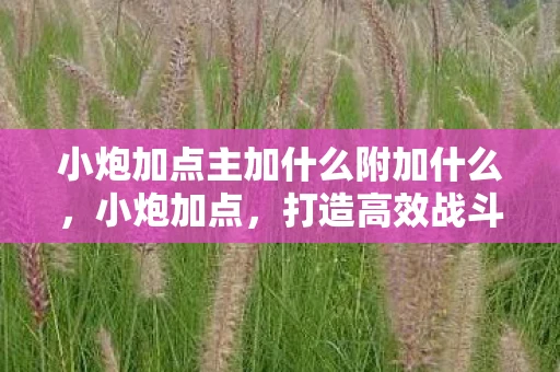 小炮加点主加什么附加什么，小炮加点，打造高效战斗力的关键