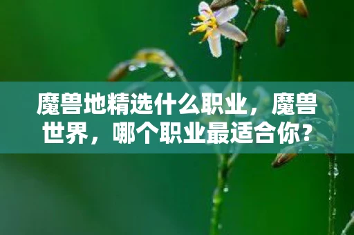 魔兽地精选什么职业，魔兽世界，哪个职业最适合你？