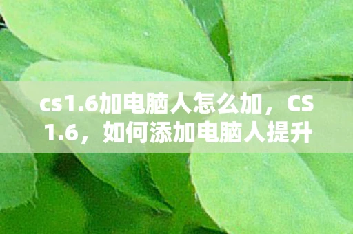 cs1.6加电脑人怎么加，CS1.6，如何添加电脑人提升游戏体验