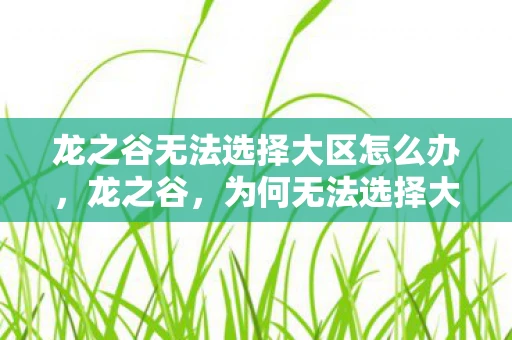 龙之谷无法选择大区怎么办，龙之谷，为何无法选择大区？