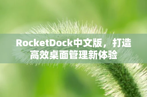 RocketDock中文版，打造高效桌面管理新体验