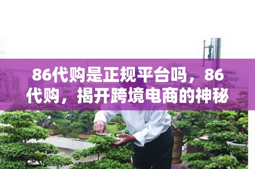 86代购是正规平台吗，86代购，揭开跨境电商的神秘面纱