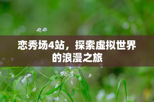 恋秀场4站，探索虚拟世界的浪漫之旅