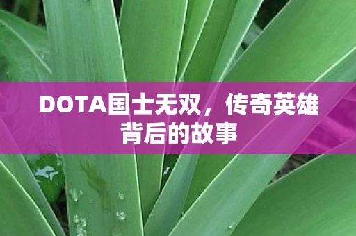 DOTA国士无双，传奇英雄背后的故事