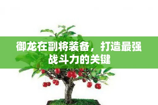 御龙在副将装备，打造最强战斗力的关键