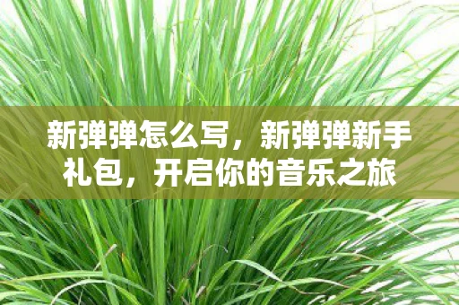 新弹弹怎么写，新弹弹新手礼包，开启你的音乐之旅