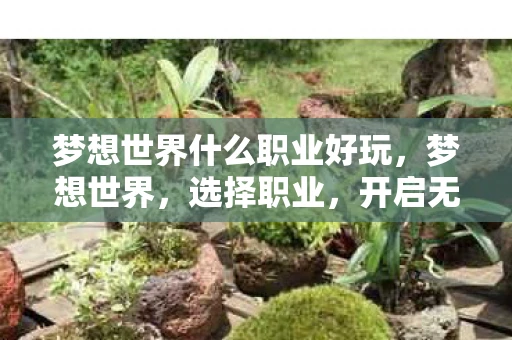 梦想世界什么职业好玩，梦想世界，选择职业，开启无限可能