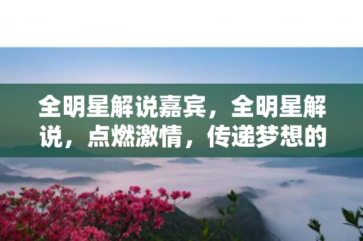 全明星解说嘉宾，全明星解说，点燃激情，传递梦想的舞台