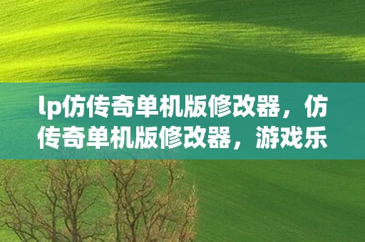 lp仿传奇单机版修改器，仿传奇单机版修改器，游戏乐趣与道德边界的微妙平衡