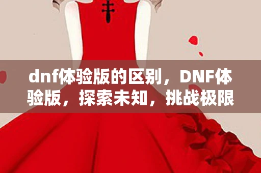 dnf体验版的区别，DNF体验版，探索未知，挑战极限