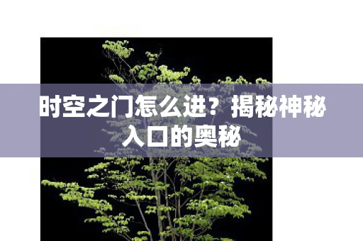 时空之门怎么进？揭秘神秘入口的奥秘