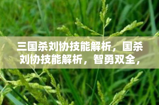 三国杀刘协技能解析，国杀刘协技能解析，智勇双全，帝王之智